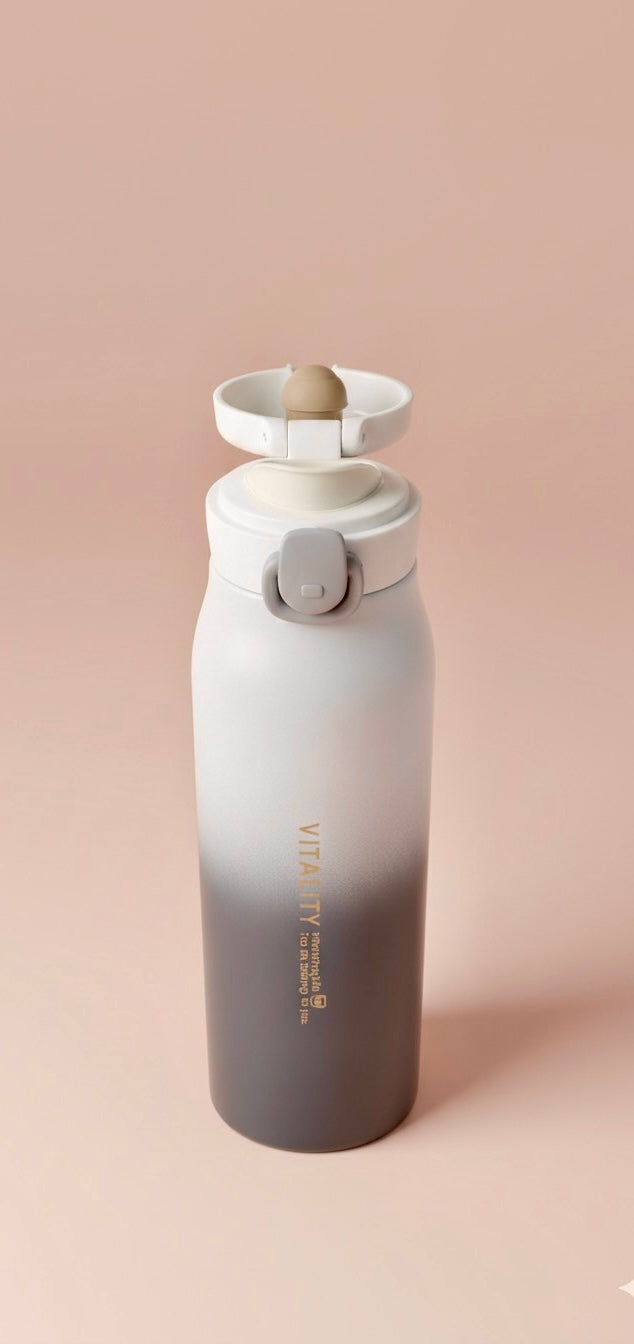 Vitality Water bottle | leak-Proof Stainless Steel Thermos with Flip Lid | Hot & Cold Insulated Travel Flask